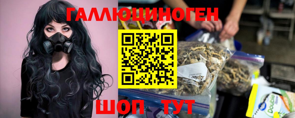 продажа наркотиков  Псилоцибиновые грибы ЛСД  Вход с VPN  Будённовск 